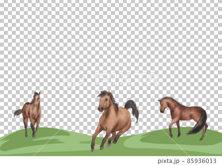 Jockey on horse. Black horse Jumping. Equestrian Events. Show Jumping Competition. Watercolor painting illustration isolated on frame white background 85936013