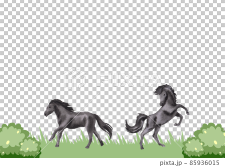 Jockey on horse. Black horse Jumping. Equestrian Events. Show Jumping Competition. Watercolor painting illustration isolated on frame white background 85936015