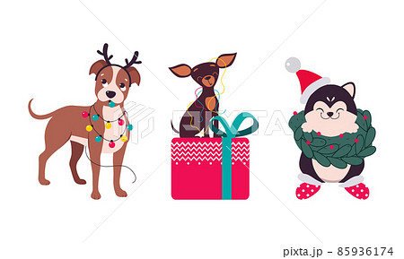 Cute Dogs of Different Breed Tangled with Garland and Sitting on Gift Box Vector Set Cute Dogs of Different Breed Tangled with Garland and Sitting on Gift Box Vector Set 85936174