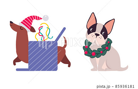 Cute Dogs of Different Breed with Advent Wreath and Walking Through Gift Box Vector Set Cute Dogs of Different Breed with Advent Wreath and Walking Through Gift Box Vector Set 85936181