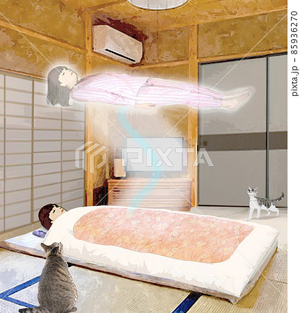 ネコが見ていたお姉さんの幽体離脱 85936270