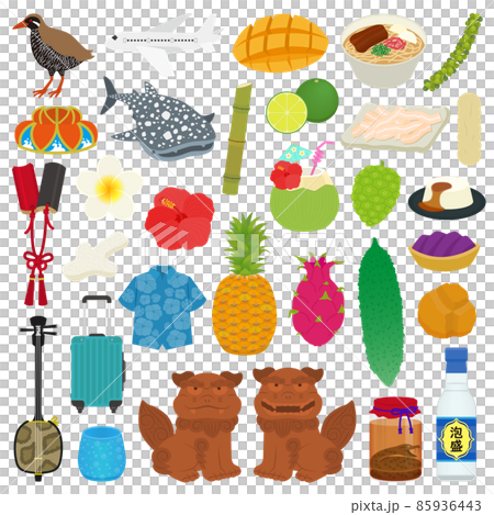 沖縄のイラストセット 85936443