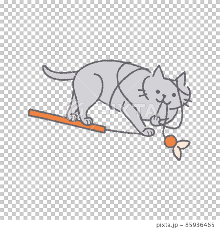 おもちゃで遊ぶ猫 85936465