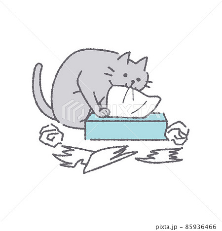 ティッシュを出す猫 85936466