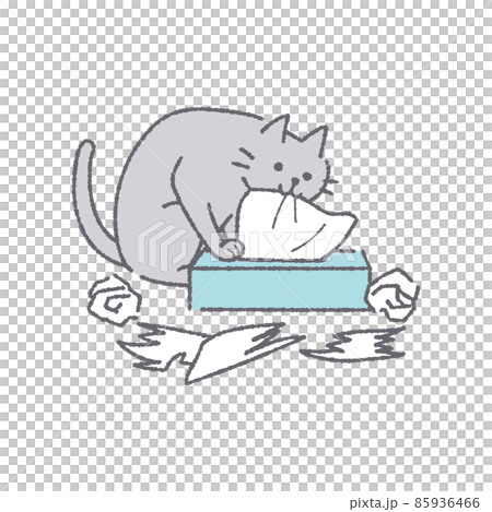 ティッシュを出す猫 85936466