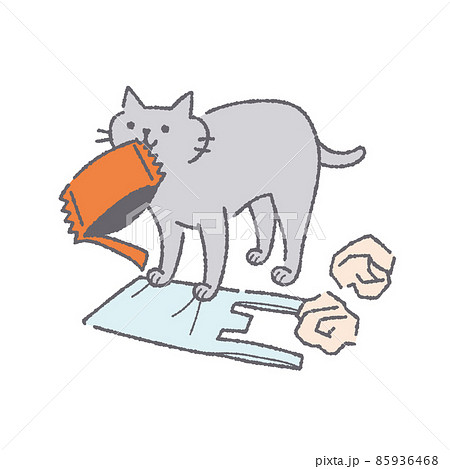 ゴミをくわえる猫 85936468