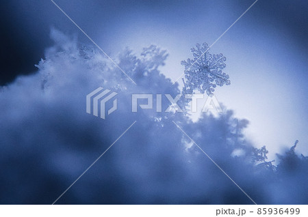 雪の結晶 雪の結晶 85936499