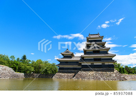 【長野県　松本市】国宝　松本城 85937088