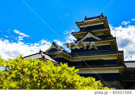 【長野県　松本市】国宝　松本城 85937300
