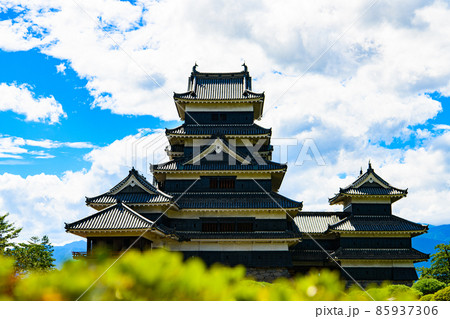 【長野県　松本市】国宝　松本城 85937306