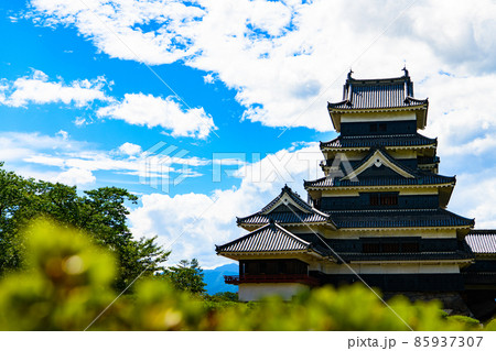 【長野県　松本市】国宝　松本城 85937307
