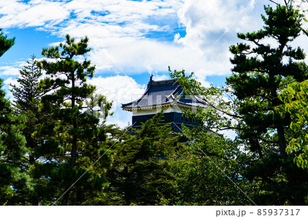 【長野県　松本市】国宝　松本城 85937317