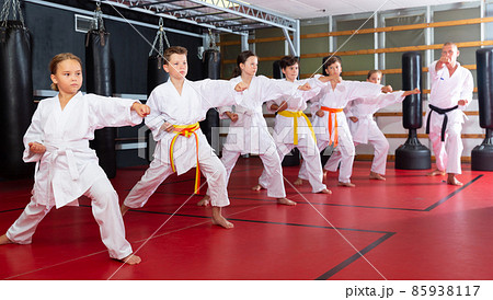 Schoolchilds practicing new technique in karate class Schoolchilds practicing new technique in karate class 85938117