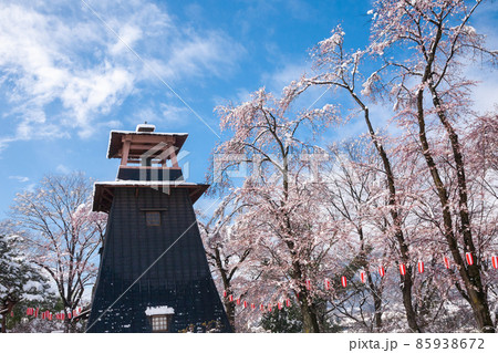 鐘楼と桜と雪 鐘楼と桜と雪 85938672