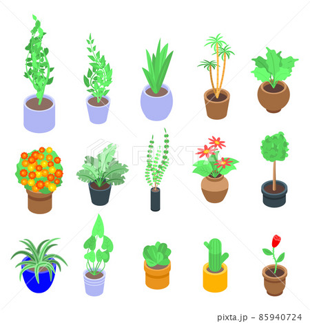 Houseplants icons set, isometric style 85940724