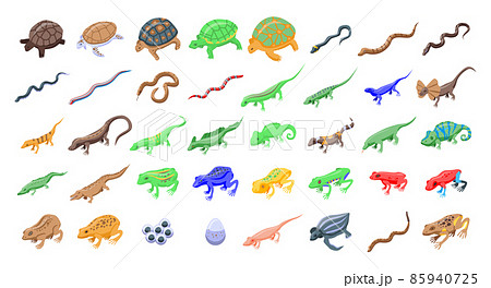 Reptiles and amphibians icons set, isometric style 85940725