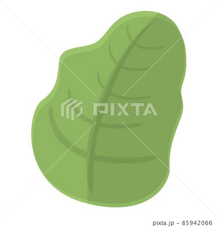 Spinach icon cartoon vector. Vegetable food 85942066