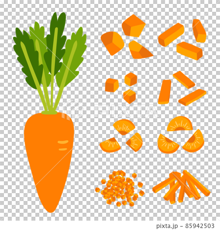 いろいろな人参の切り方のベクターイラスト素材 いろいろな人参の切り方のベクターイラスト素材 85942503