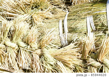 安乗神社　しめ縄 85944020