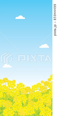 春の菜の花の風景イラスト 春の菜の花の風景イラスト 85944499