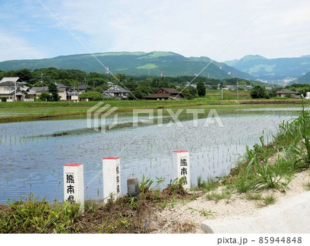 境界杭と水田 (熊本県) 境界杭と水田 (熊本県) 85944848