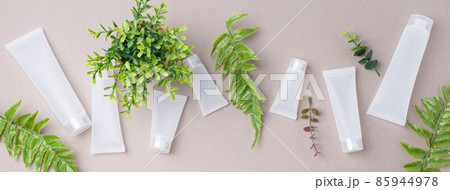 Skincare organic beauty product bottles, green plant leaves on gray background 85944978