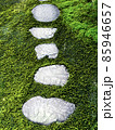 苔の中の石畳 85946657