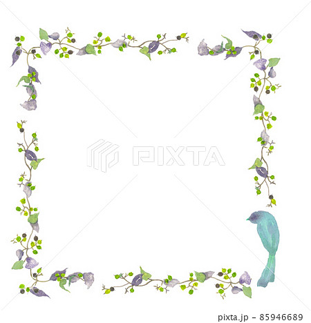 小さな実が付いているつたと青い鳥のフレーム水彩イラスト 85946689
