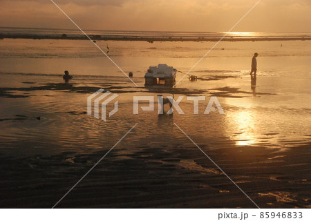 夜明けのビーチ・人と犬(サヌール/インドネシア・バリ島) 夜明けのビーチ・人と犬(サヌール/インドネシア・バリ島) 85946833
