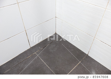 The floor tiles with loose grout and the dirty wall tiles. 85947608