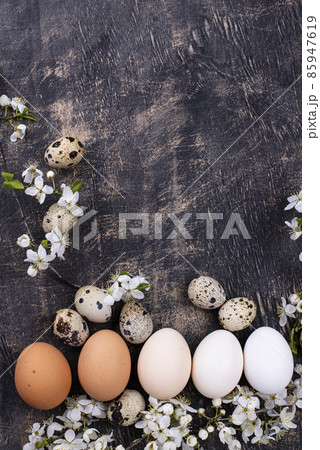 Chicken eggs gradient from light to dark 85947619