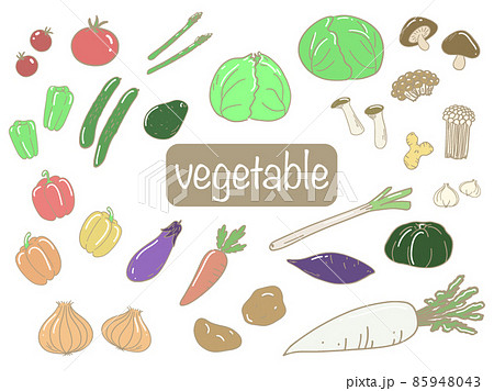 オシャレな手書き野菜のイラストセット 85948043