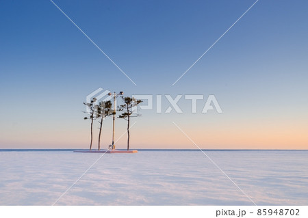 太陽 快晴 冬 85948702