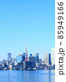 東京都、東京の町並みと東京タワーの風景 85949166
