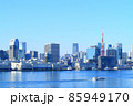 東京都、東京の町並みと東京タワーの風景 85949170