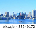 東京都、東京の町並みと東京タワーの風景 85949172