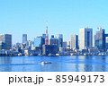 東京都、東京の町並みと東京タワーの風景 85949173