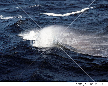 wave with rainbow wave with rainbow 85949249