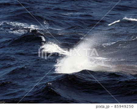 wave with rainbow wave with rainbow 85949250