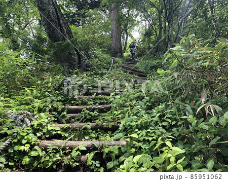 登山道 85951062