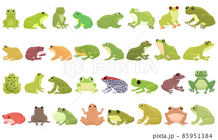 Frog icons set cartoon vector. Toad water 85951384