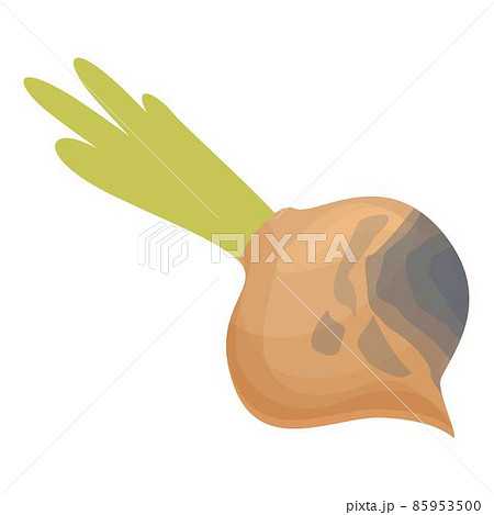 Contaminated onion icon cartoon vector. Food bacteria Contaminated onion icon cartoon vector. Food bacteria 85953500