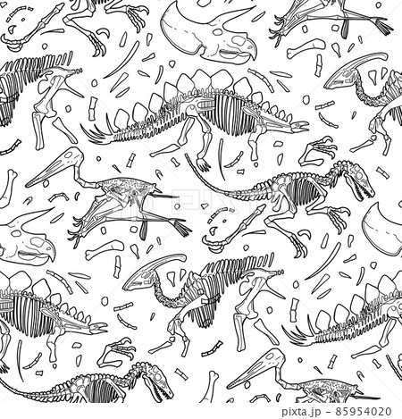 Repeated seamless pattern of dinosaurs fossils on a white background. 85954020