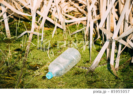 Old Plastic Bottle Floats In Water Of Swamp Or Bog. Used Empty Bottle Left In Water. Eco Concept Garbage Disaster From Ecological Pollution Of Environment. Waste Pollution Problem. Old Plastic Bottle Old Plastic Bottle Floats In Water Of Swamp Or Bog. Used Empty Bottle Left In Water. Eco Concept Garbage Disaster From Ecological Pollution Of Environment. Waste Pollution Problem. Old Plastic Bottle 85955057