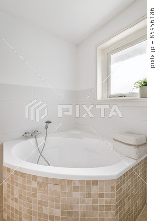 Bright elegant bathroom interior in a luxury house Bright elegant bathroom interior in a luxury house 85956186