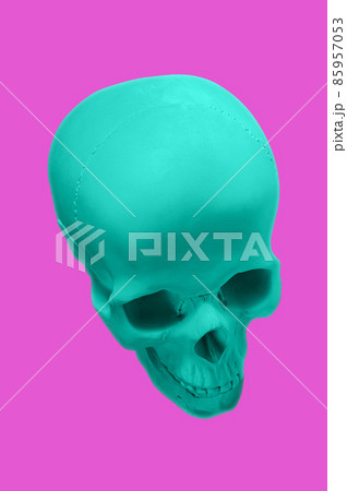 Green gypsum human skull on isolated pink background with clipping path. Plaster sample model skull for students of art schools. Forensic science, anatomy and art education concept. Mockup for drawing Green gypsum human skull on isolated pink background with clipping path. Plaster sample model skull for students of art schools. Forensic science, anatomy and art education concept. Mockup for drawing 85957053