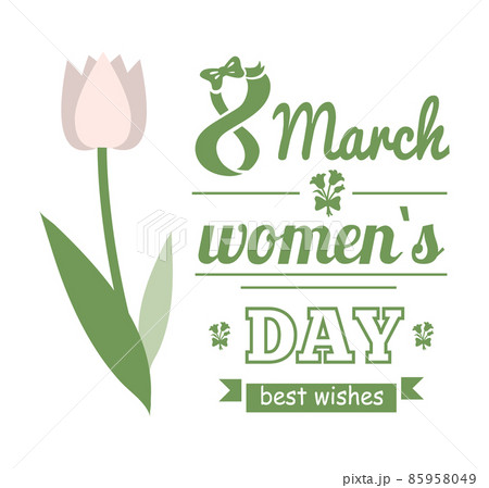 White Tulip, Womens Day, Best Wishes Card Vector 85958049