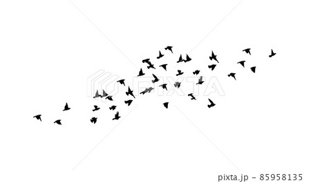 A flock of flying birds. Free birds. Vector illustration 85958135
