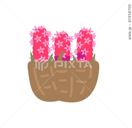 Pink Hyacinth in Woven Basket, Floral Composition 85958700