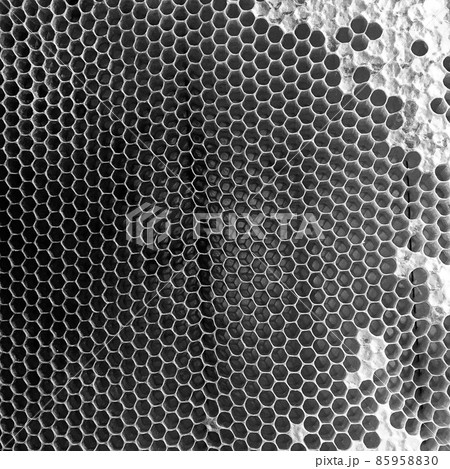 Abstract hexagon structure is honeycomb from bee hive 85958830